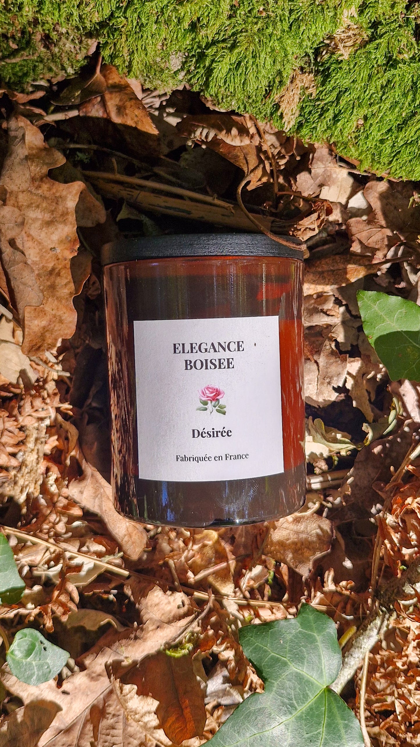 Elégance Boisée
