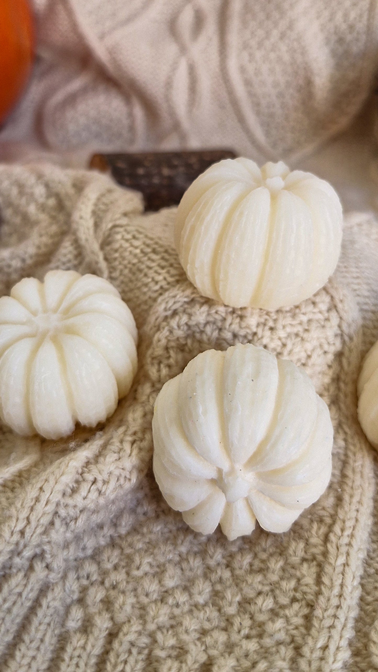 Citrouille Bois de Rose