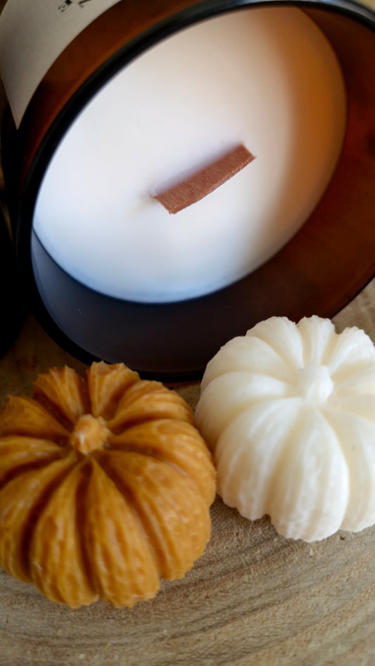 Citrouille Trick or Treat