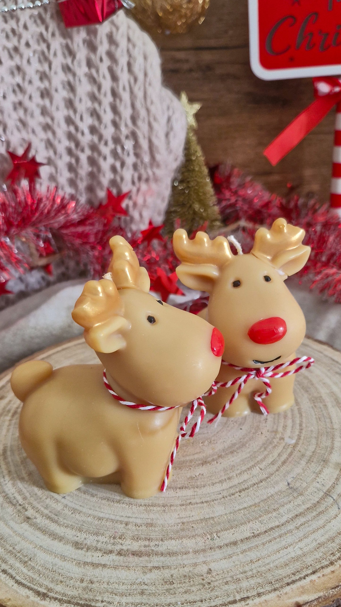 Coffret "Merveilles de Noël"